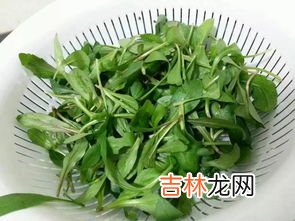 马兰头怎么吃,凉拌马兰头的做法？