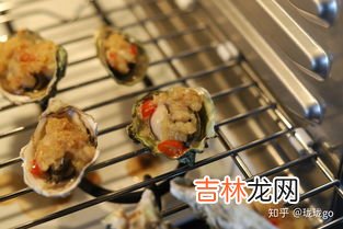 烤箱可以烤杏干吗,烤箱烤杏干需要多少时间和温度