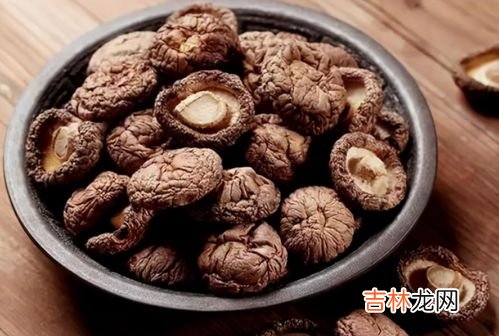 干香菇不泡能直接煮吗,干香菇为什么要泡不可以直接放进去煮呢?