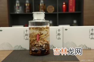 八角泡酒功效与作用,八角刺果子浸酒有什么好处