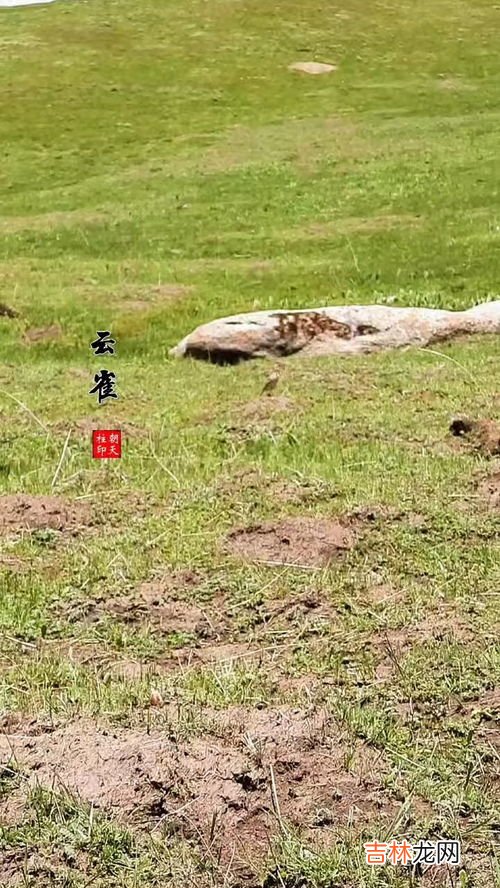 生态环境保护的重要性,环境的重要性是什么?