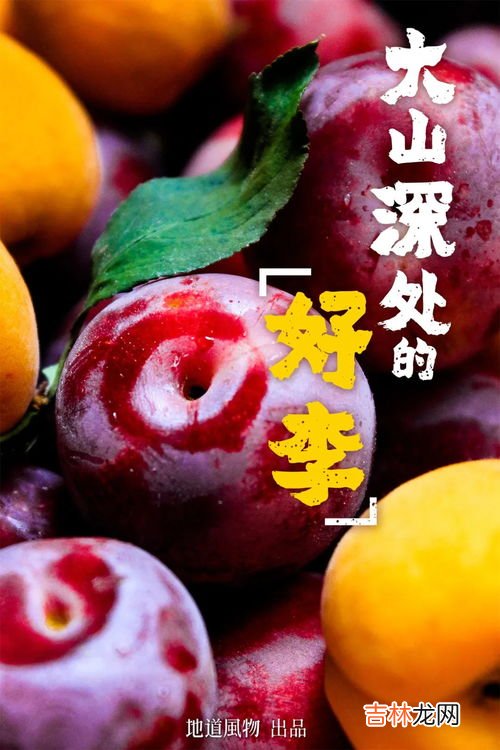 李子每天吃多少个合适,李子一天吃几个合适 李子一天什么时间吃最好