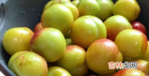 李子每天吃多少个合适,李子一天吃几个合适 李子一天什么时间吃最好