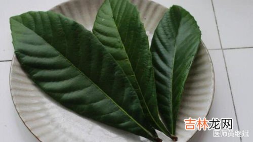 桔子叶子煮水的功效与作用,桔子叶煮水有什么好处