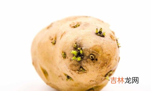 山药发芽了能吃吗有毒吗,山药发芽还能吃吗