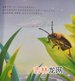 昆虫记中萤火虫的习性,昆虫记中萤火虫的习性是什么?