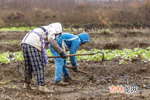 春耕备耕的作用体现在哪些方面,春耕备耕需要机收减损吗