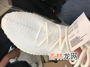 椰子350如何鉴定,椰子350怎么看真假