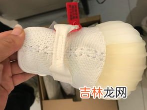 椰子350如何鉴定,椰子350怎么看真假