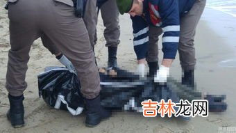 土耳其数名儿童被困超130小时后获救,奇迹出现！地震后3岁女童被埋65小时后救出，官方对此有何表示？