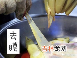 甲鱼头能吃吗,甲鱼的头为什么不能吃