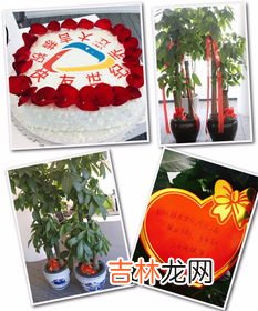 乔迁之喜送什么,乔迁之喜送什么礼物好