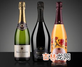 香槟是白葡萄酒么,香槟是什么酒