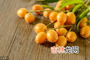 广西黄皮果功效与作用,黄皮果的功效与作用有哪些