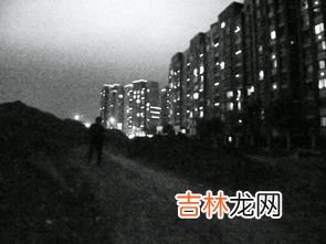 路上行人欲断魂意思,清明时节雨纷纷，路上行人欲断魂什么意思