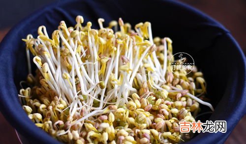 绿豆芽不能和什么一起吃,绿豆芽不能和什么一起吃 哪些食物不能和绿豆芽同吃呢