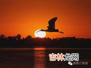 落霞与孤鹜齐飞秋水长天一色意思,落霞与孤鹜齐飞秋水共长天一色是啥意思 落霞与孤鹜齐飞秋水共长天一色释义
