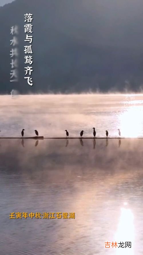 落霞与孤鹜齐飞秋水长天一色意思,落霞与孤鹜齐飞秋水共长天一色是啥意思 落霞与孤鹜齐飞秋水共长天一色释义