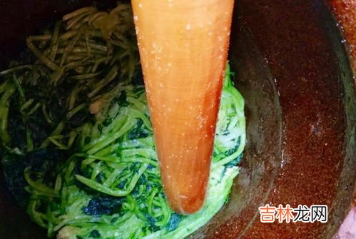 雪菜是酸菜吗,雪菜和酸菜的区别