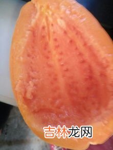 绿色的木瓜怎么放熟,没熟的青木瓜怎么吃 很硬的青木瓜怎么催熟