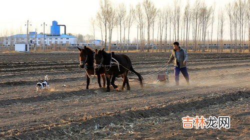 2023年春耕时节到底是何时到来,春分是什么时候