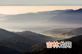 荒山野岭代表什么动物,荒山野岭披绿甲，猜一动物