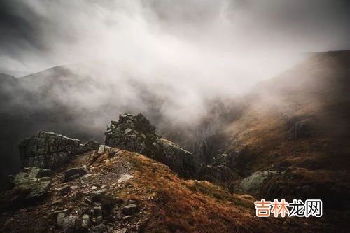 荒山野岭代表什么动物,荒山野岭披绿甲，猜一动物