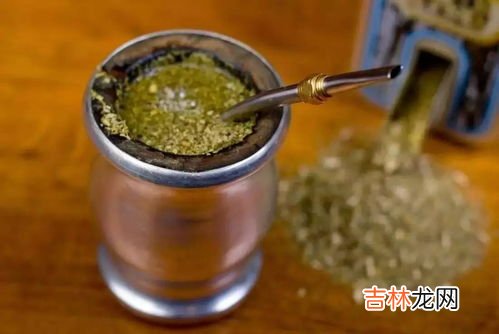 美洲茶的养殖方法和注意事项,上海能种美洲茶吗
