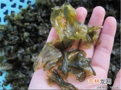 地皮菜能冷冻吗,地皮菜放冰箱3个月还能吃吗