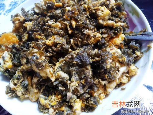 地皮菜能冷冻吗,地皮菜放冰箱3个月还能吃吗