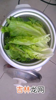 苦瓜绿豆瘦肉汤的功效和作用,苦瓜瘦肉汤的功效?
