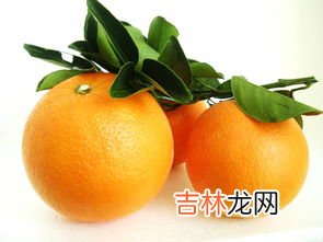 油桃的功效和作用禁忌,黄油桃的功效与作用禁忌
