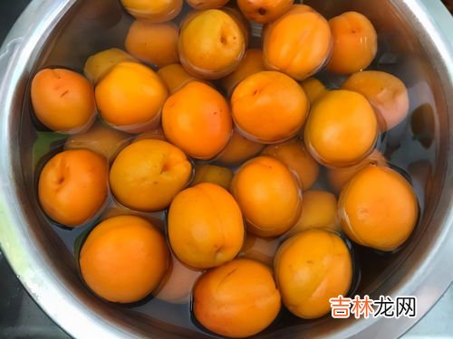 晒好的杏干怎样保存,杏干的保存方法?？