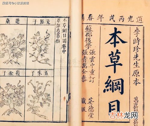 李时珍是哪个朝的什么,李时珍是哪个朝代的