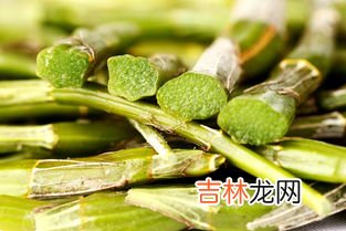 鲜石斛每天吃多少合适,铁皮石斛每天吃多少克 铁皮石斛每天都能吃吗