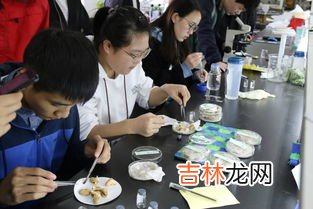 可将食物储藏在实验室的冰箱吗,吃在化学实验室的冰箱中冷冻的食物会不会中毒