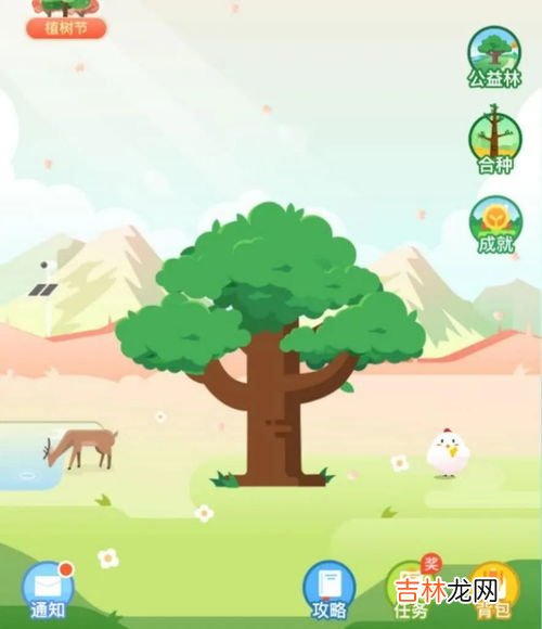 蚂蚁森林浇水步骤,蚂蚁森林怎么浇水 蚂蚁森林的养护方法分享？