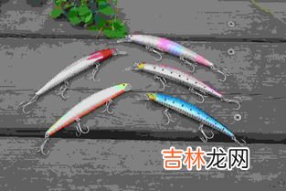 海钓用什么鱼饵,在海里钓鱼一般用什么鱼饵？