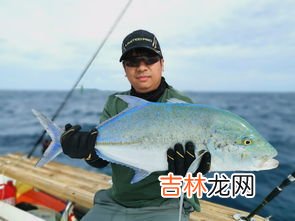海钓用什么鱼饵,在海里钓鱼一般用什么鱼饵?