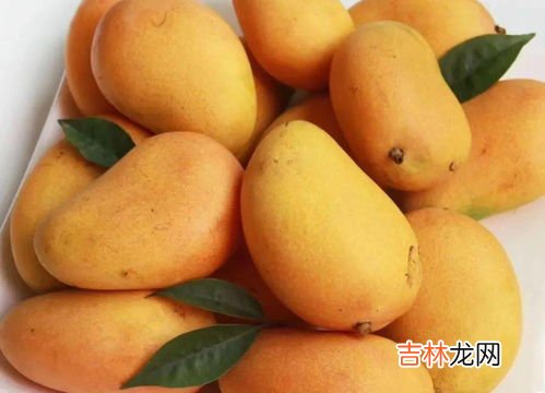 芒果变软了还能吃吗,芒果里面稀软还能吃吗 芒果里面稀软还能不能吃