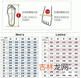 鞋码240是多少码,240的鞋码是多大