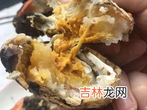 大闸蟹冷冻后还能吃吗,螃蟹速冻以后还可以吃吗