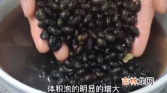 黑豆一天吃多少为宜,女人每天吃多少黑豆合适