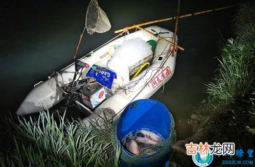 电捕蚓是不是属于犯罪,大量捕捉蚯蚓违法吗