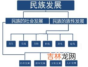 人类社会的基本结构,什么是社会？它的构成要素有那些？