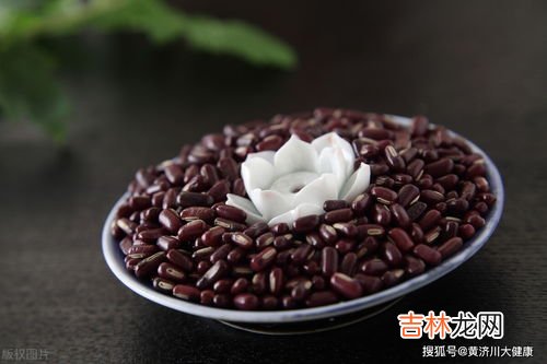 红豆的功效与作用禁忌,红豆的功效与作用及禁忌