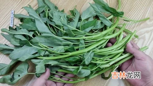 空心菜要焯水要不要过冷水,怎么让焯水空心菜不变色呢?