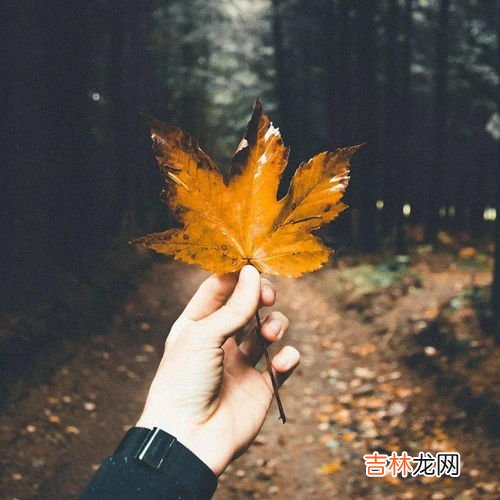 立秋是什么意思,立秋是什么意思？立秋的含义