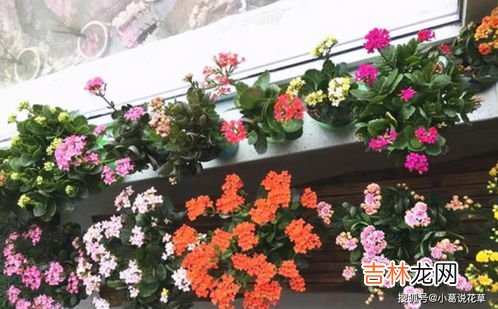 普通人应该花多少钱买手表,你觉得戴多少钱的表才算有面子？