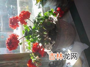 普通人应该花多少钱买手表,你觉得戴多少钱的表才算有面子？